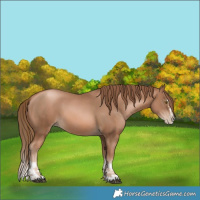 Horse Color:Liver Chestnut Pearl and Liver Chestnut Pearl Splash