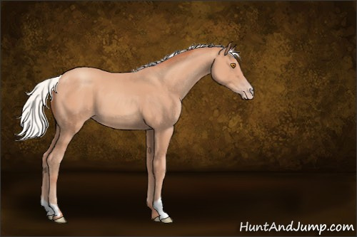 Horse Color:Silver Classic Champagne