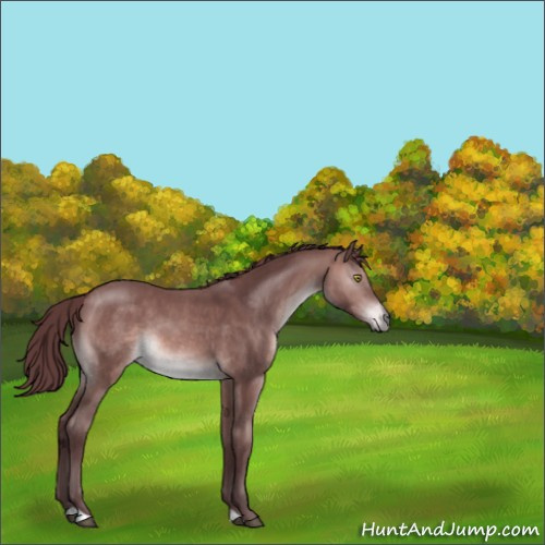 Horse Color:Platinum Chocolate Brown