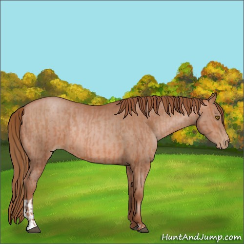 Horse Color:Brown Pearl  and Brown Pearl 