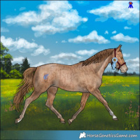 Horse Color:Brown Pearl and Bay Pearl
