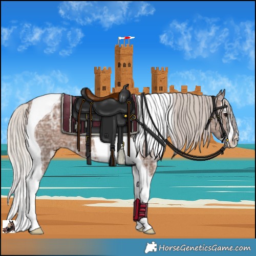 Horse Color:Silver Black Ice Splash Tobiano Rabicano 