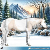 Horse Color:Silver Classic Champagne Dun Splash Tobiano Appaloosa 