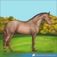 Horse Color:Liver Chestnut Pearl  and Liver Chestnut Pearl 