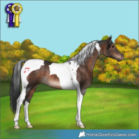Horse Color:Brown Mushroom Tobiano 