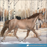 Horse Color:Liver Chestnut Pearl  and Liver Chestnut Pearl Splash 