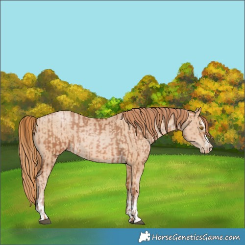 Horse Color:Bay Pearl  and Buckskin Pearl 