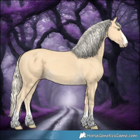 Horse Color:Gold Cream Champagne 