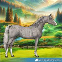 Horse Color:Silver Blue Roan Sabino 