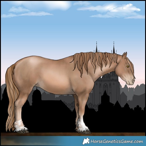 Horse Color:Liver Chestnut Pearl  and Liver Chestnut Pearl 