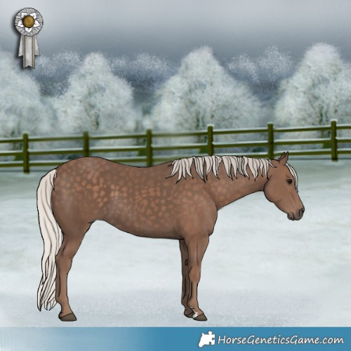 Horse Color:Silver Black 