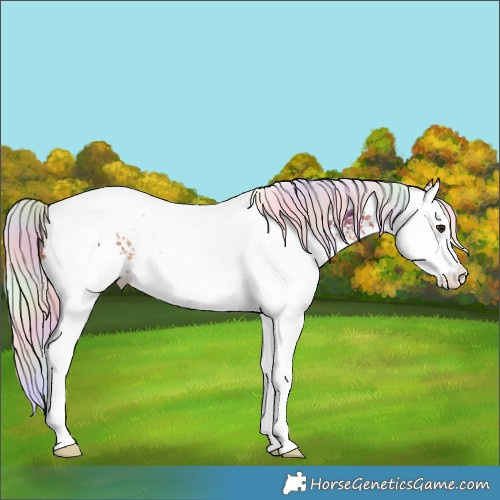 Horse Color:Nacre White Spotted Chocolate Silver Brown Splash Tobiano Rabicano