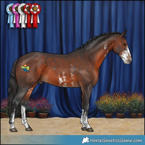 Horse Color:Brown Sabino 
