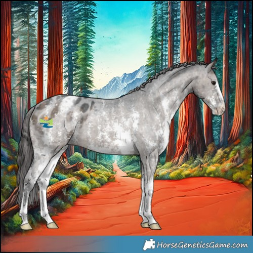 Horse Color:Brown Dun Sabino Appaloosa Brindle 