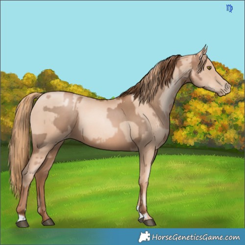 Horse Color:Liver Chestnut Pearl  and Gold Champagne Pearl 