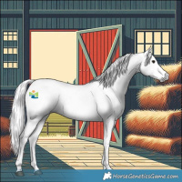 Horse Color:Gray Bay Sabino  and Gray Bay Dun Sabino 