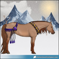 Horse Color:Red Dun