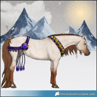 Horse Color:Red Dun Roan 