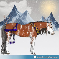 Horse Color:Bay Sabino  and Bay Sabino Splash 