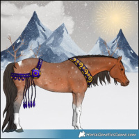 Horse Color:Bay Tobiano