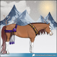 Horse Color:Painted Bay Splash 