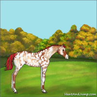Horse Color:Painted Red Onyx Near Leopard