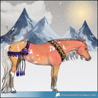 Horse Color:White Spotted Silver Buckskin 