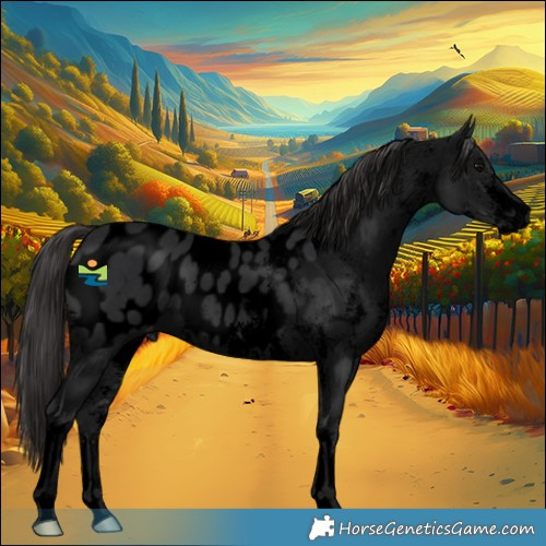 Horse Color:Void Black Sabino Appaloosa 