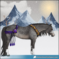 Horse Color:Smoky Black 