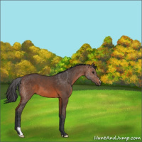 Horse Color:Brown 