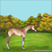 Horse Color:Painted Bay Roan Onyx 