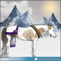 Horse Color:Classic Cream Champagne Splash Tobiano 