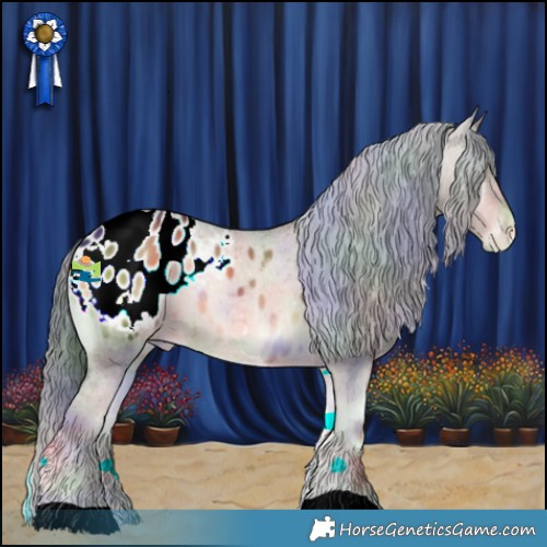 Horse Color:Nacre Liver Red Onyx Appaloosa 