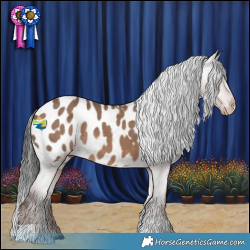 Horse Color:Liver Red Dun Appaloosa 