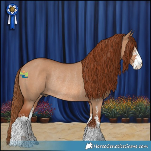 Horse Color:Red Dun Sabino Rabicano 