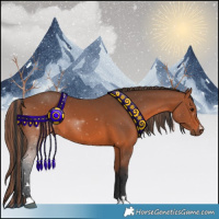 Horse Color:Painted Bay 