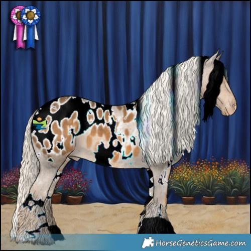 Horse Color:White Spotted Chocolate Palomino Appaloosa 
