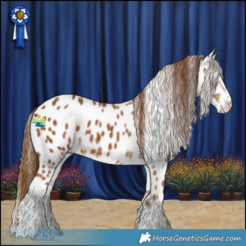 Horse Color:Chestnut Sabino Appaloosa 