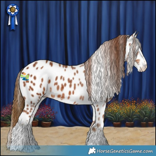 Horse Color:Chestnut Sabino Appaloosa 