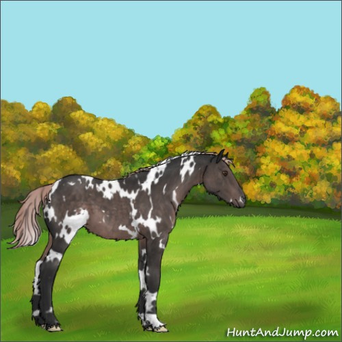 Horse Color:Platinum White Spotted Liver Chestnut 