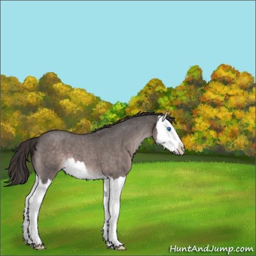 Horse Color:Platinum Liver Red Roan Splash 