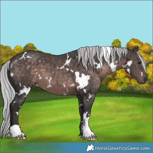 Horse Color:Platinum White Spotted Silver Brown 