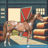Horse Color:White Spotted Gold Champagne