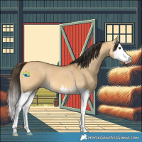 Horse Color:Buckskin Dun Splash