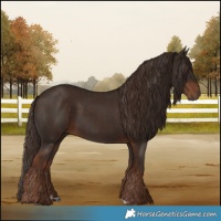 Horse Color:Liver Chestnut  and Liver Chestnut 