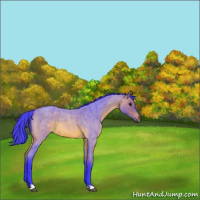 Horse Color:Watercolor Bay Roan 