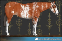 Horse Color:Bay Sabino  and Bay Sabino 