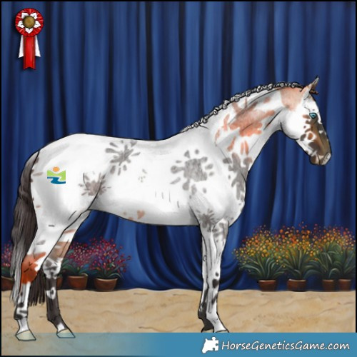 Horse Color:Buckskin Roan Splash Tobiano 