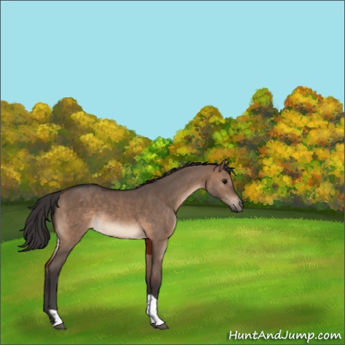 Horse Color:Brown Dun Tobiano Rabicano