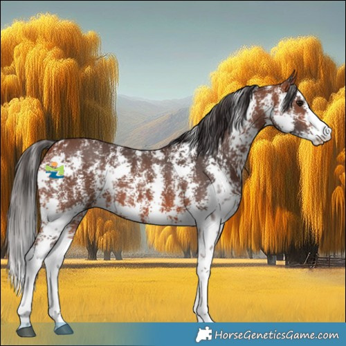 Horse Color:Bay Sabino 